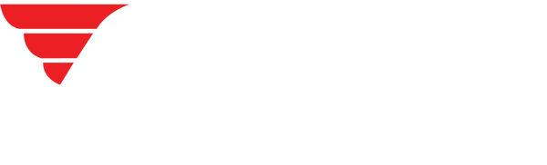 Gintani logo